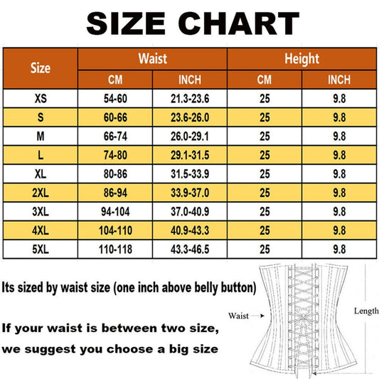 Best Quality Tummy Tuck Belt  – Slimming Waist Trainer